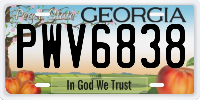 GA license plate PWV6838