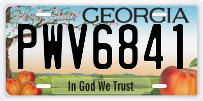 GA license plate PWV6841