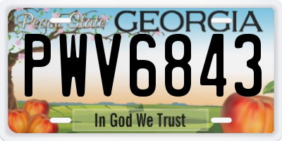 GA license plate PWV6843