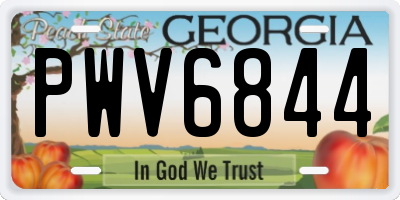 GA license plate PWV6844