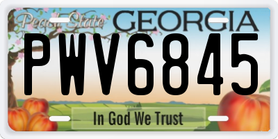 GA license plate PWV6845