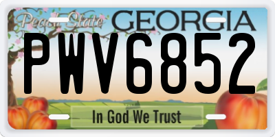 GA license plate PWV6852