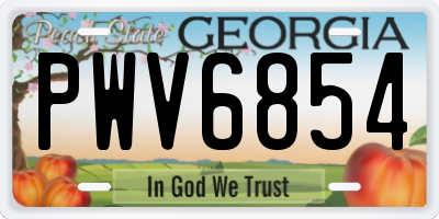 GA license plate PWV6854