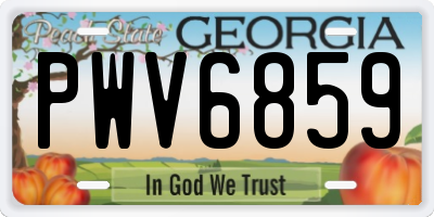 GA license plate PWV6859