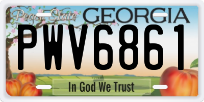 GA license plate PWV6861