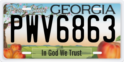 GA license plate PWV6863