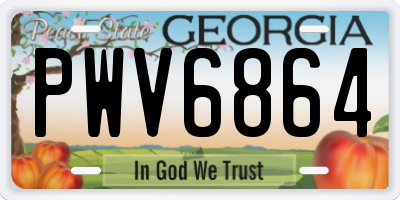 GA license plate PWV6864