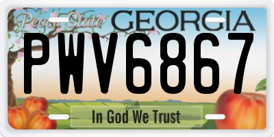 GA license plate PWV6867
