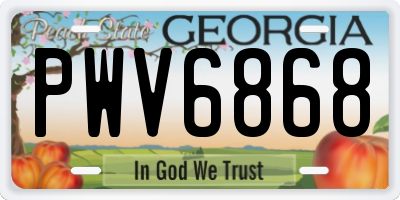 GA license plate PWV6868