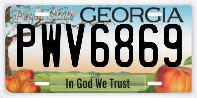 GA license plate PWV6869