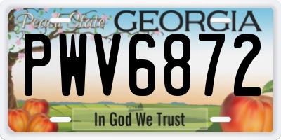 GA license plate PWV6872