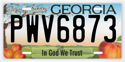 GA license plate PWV6873