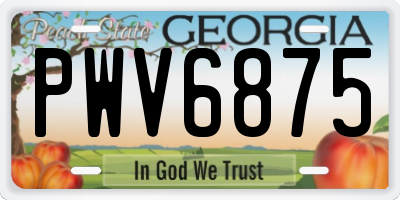 GA license plate PWV6875