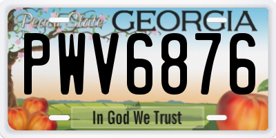 GA license plate PWV6876