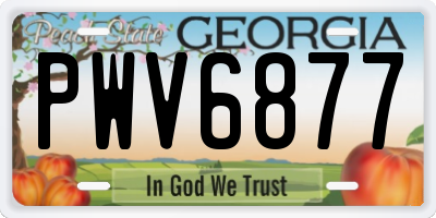 GA license plate PWV6877