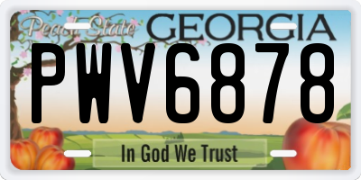 GA license plate PWV6878