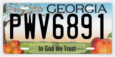 GA license plate PWV6891