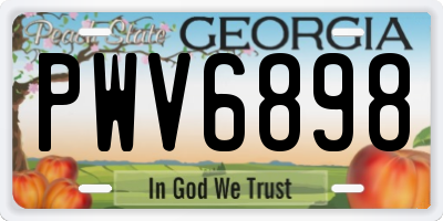 GA license plate PWV6898