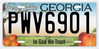 GA license plate PWV6901