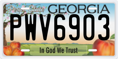 GA license plate PWV6903