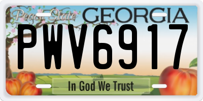 GA license plate PWV6917