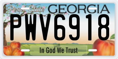 GA license plate PWV6918