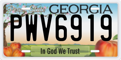 GA license plate PWV6919