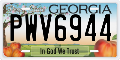 GA license plate PWV6944