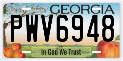 GA license plate PWV6948