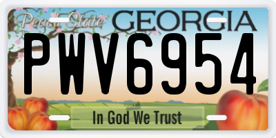 GA license plate PWV6954
