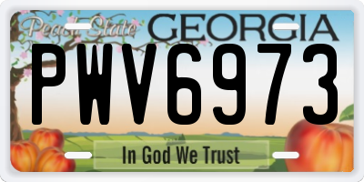 GA license plate PWV6973