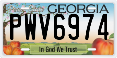 GA license plate PWV6974