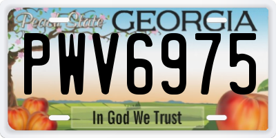 GA license plate PWV6975