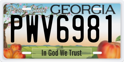 GA license plate PWV6981