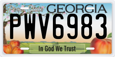 GA license plate PWV6983