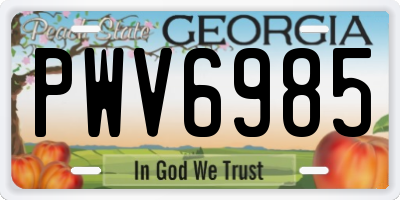 GA license plate PWV6985