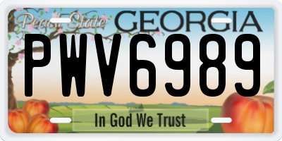GA license plate PWV6989