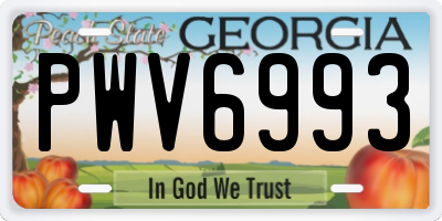 GA license plate PWV6993