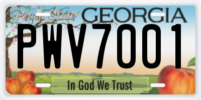 GA license plate PWV7001