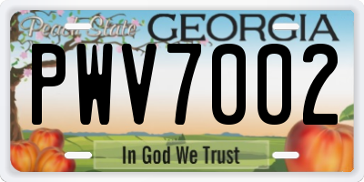 GA license plate PWV7002