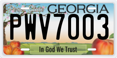 GA license plate PWV7003