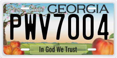 GA license plate PWV7004