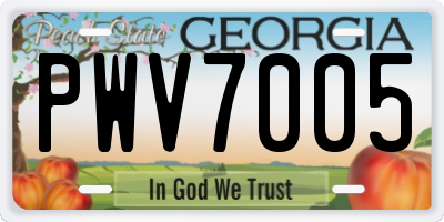 GA license plate PWV7005