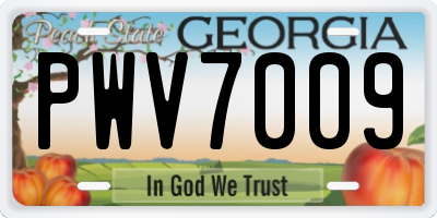 GA license plate PWV7009