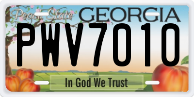 GA license plate PWV7010
