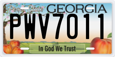 GA license plate PWV7011