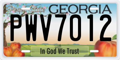 GA license plate PWV7012