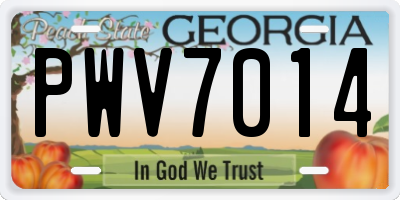 GA license plate PWV7014