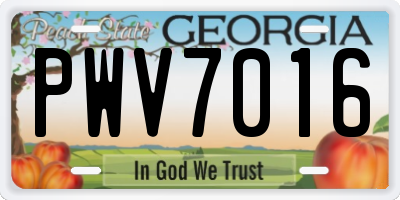 GA license plate PWV7016