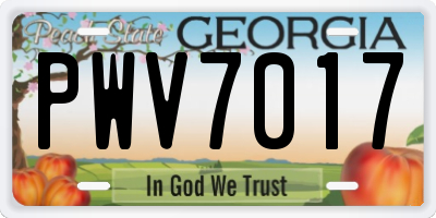GA license plate PWV7017